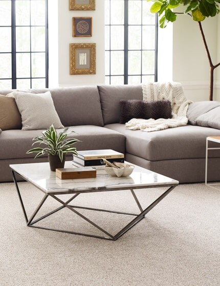 Living room Carpet flooring | Carpets by Direct