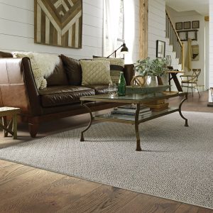 Living room flooring | Carpets by Direct
